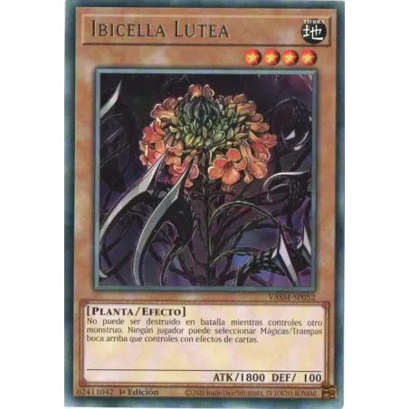 Ibicella Lutea - VASM-SP052 - Rara