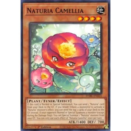 Camelia Naturia - DABL-SP021 - Común