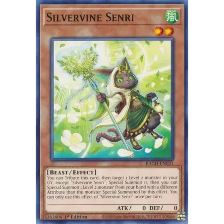 Silvervine Senri - BACH-SP031 - Común