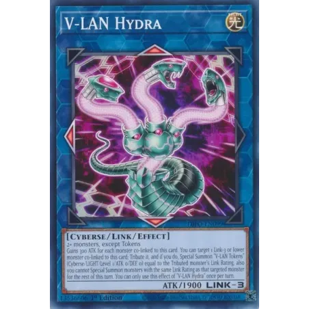 Hidra V-LAN - DIFO-SP099 - Común