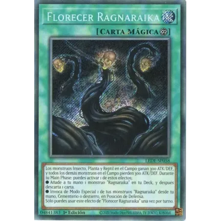 Florecer Ragnaraika - LEDE-SP058 - Rara Secreta