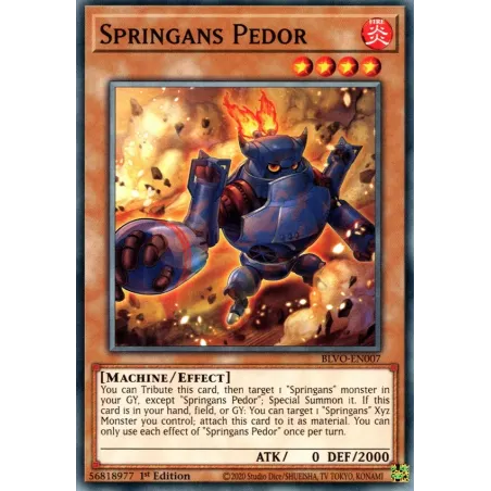Springans Pedor - BLVO-SP007 - Común