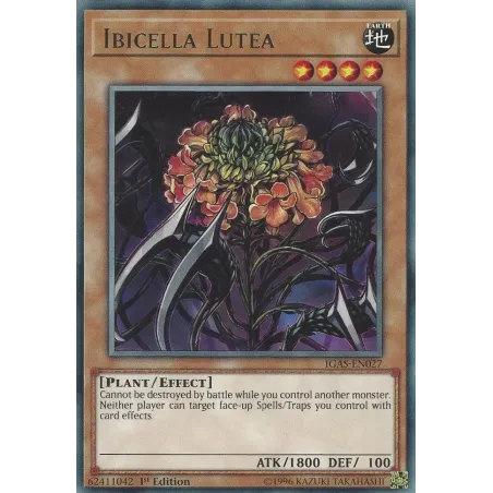 Ibicella Lutea - IGAS-SP027 - Rara