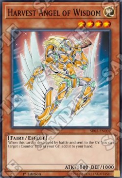 Harvest Angel of Wisdom