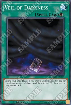 Veil of Darkness⁣ - Structure Deck: Lair of Darkness⁣ (Common)⁣ [029]