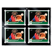 35PT 4-Card Black Border UV ONE-TOUCH® Magnetic Holder