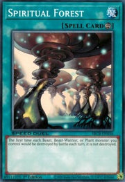 Spiritual Forest⁣ - Speed Duel: Battle City Box⁣ (Common)⁣ [056]