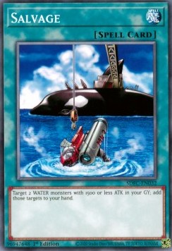 Salvage⁣ - Structure Deck: Freezing Chains⁣ (Common)⁣ [032]