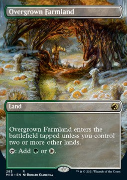 Overgrown Farmland⁣ - Innistrad: Midnight Hunt: Extras⁣ (Rare)⁣ [283]