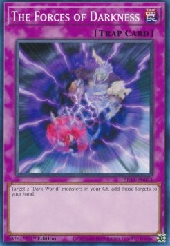 The Forces of Darkness - Structure Deck: Dark World (Common) [SR13-034]