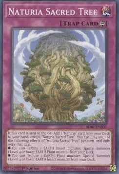 Naturia Sacred Tree⁣ - Structure Deck: Beware of Traptrix⁣ (Common)⁣ [037]