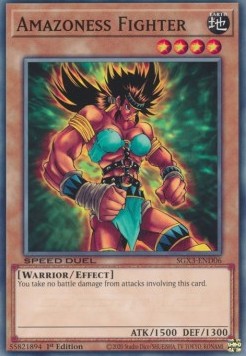 Amazoness Fighter⁣ - Speed Duel GX: Duelists of Shadows⁣ (Common)⁣ [D06]