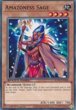 Amazoness Sage⁣ - Speed Duel GX: Duelists of Shadows⁣ (Common)⁣ [D08]
