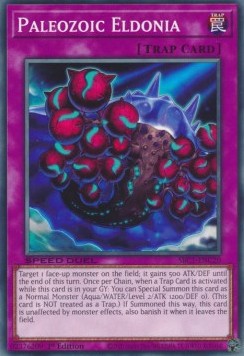 Paleozoic Eldonia⁣ - Speed Duel: Streets of Battle City⁣ (Common)⁣ [C20]