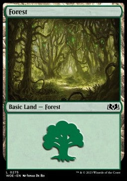 Forest (V.2)⁣ - Wilds of Eldraine⁣ (Land)⁣ [275]