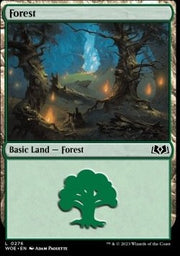 Forest (V.3)⁣ - Wilds of Eldraine⁣ (Land)⁣ [276]