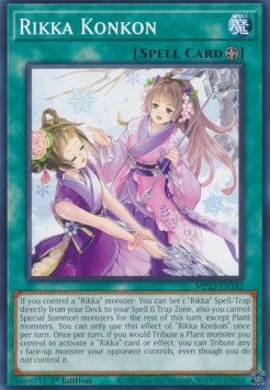 Rikka Konkon⁣ - 25th Anniversary Tin: Dueling Heroes Mega Pack⁣ (Common)⁣ [142]