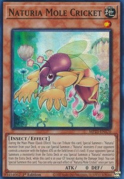 Naturia Mole Cricket⁣ - 25th Anniversary Tin: Dueling Heroes Mega Pack⁣ (Super Rare)⁣ [170]