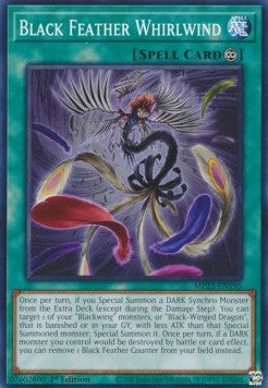 Black Feather Whirlwind⁣ - 25th Anniversary Tin: Dueling Heroes Mega Pack⁣ (Common)⁣ [195]
