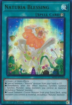 Naturia Blessing⁣ - 25th Anniversary Tin: Dueling Heroes Mega Pack⁣ (Ultra Rare)⁣ [204]