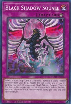 Black Shadow Squall⁣ - 25th Anniversary Tin: Dueling Heroes Mega Pack⁣ (Common)⁣ [208]