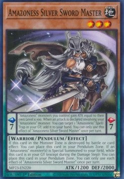Amazoness Silver Sword Master⁣ - 25th Anniversary Tin: Dueling Heroes Mega Pack⁣ (Common)⁣ [220]