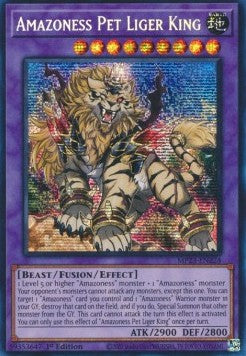 Amazoness Pet Liger King⁣ - 25th Anniversary Tin: Dueling Heroes Mega Pack⁣ (Secret Rare)⁣ [224]