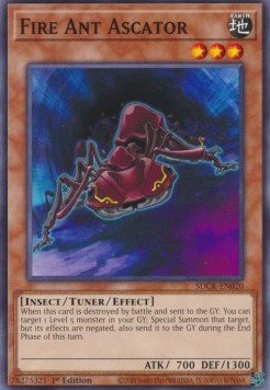 Fire Ant Ascator⁣ - Structure Deck: The Crimson King⁣ (Common)⁣ [020]