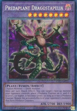 Predaplant Dragostapelia (V.6 - Collectors Rare) - 25th Anniversary Rarity Collection (Collectors Rare) [RA01-027]