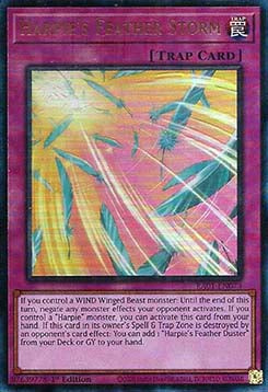 Harpie's Feather Storm (V.7 - Ultimate Rare) - 25th Anniversary Rarity Collection (Ultimate Rare) [RA01-073]