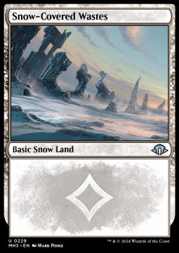Snow-Covered Wastes (V.1)⁣ - Modern Horizons 3⁣ (Uncommon)⁣ [229]