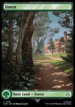 Forest (V.2)⁣ - Universes Beyond: Assassin's Creed⁣ (Land)⁣ [110]