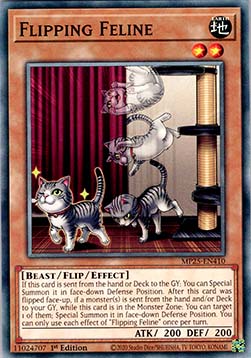 Flipping Feline