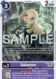 Salamon (BT26-066)