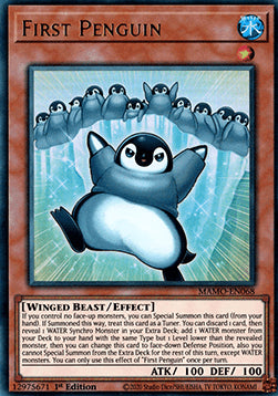 First Penguin