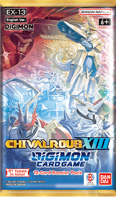 EX13
