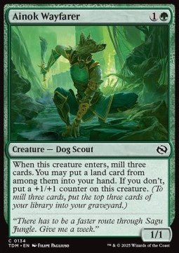 Ainok Wayfarer⁣ - Tarkir: Dragonstorm⁣ (Common)⁣ [134] - El Duelista