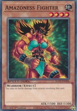 Amazoness Fighter⁣ - Speed Duel GX: Duelists of Shadows⁣ (Common)⁣ [D06] - El Duelista