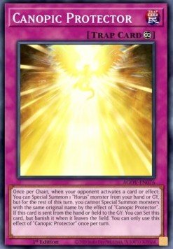Canopic Protector - Age of Overlord (Super Rare) [AGOV - 076] - El Duelista
