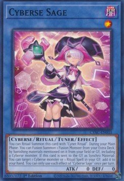 Cyberse Sage - Cyberstorm Access (Common) [CYAC - 033] - El Duelista