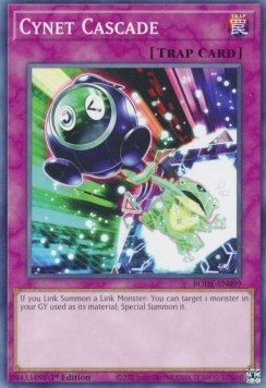 Cynet Cascade - Burst of Destiny (Common) [BODE - 099] - El Duelista