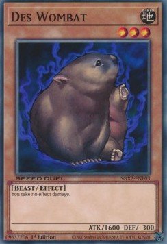 Des Wombat⁣ - Speed Duel GX: Midterm Paradox⁣ (Common)⁣ [E03] - El Duelista