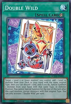 Double Wild⁣ - Supreme Darkness⁣ (Common)⁣ [065] - El Duelista