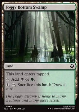 Foggy Bottom Swamp - Magic: The Gathering | Avatar: The Last Airbender (Common) [TLA - 269] - El Duelista