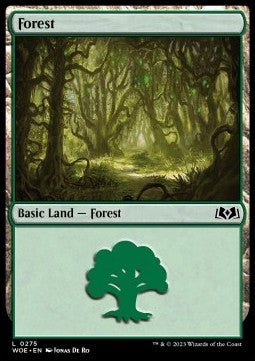 Forest (V.2)⁣ - Wilds of Eldraine⁣ (Land)⁣ [275] - El Duelista