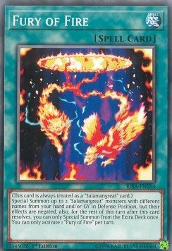 Fury of Fire - Rising Rampage (Common) [RIRA - 054] - El Duelista