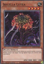 Ibicella Lutea - 2021 Tin of Ancient Battles (Common) [MP21 - 009] - El Duelista