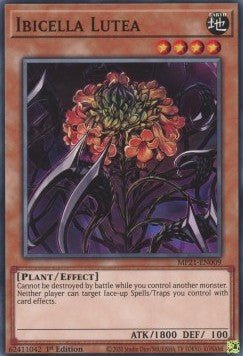 Ibicella Lutea - 2021 Tin of Ancient Battles (Common) [MP21 - 009] - El Duelista