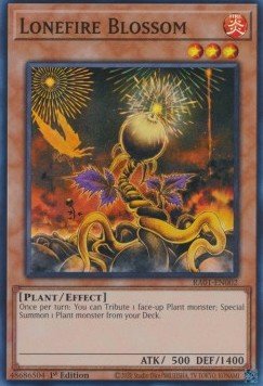 Lonefire Blossom (V.1 - Super Rare)⁣ - 25th Anniversary Rarity Collection⁣ (Super Rare)⁣ [002] - El Duelista
