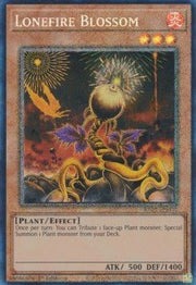 Lonefire Blossom (V.6 - Collectors Rare)⁣ - 25th Anniversary Rarity Collection⁣ (Collectors Rare)⁣ [002] - El Duelista